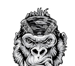 Bad Monkey Release Date